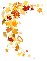 Wall Mural - autumn leaves swirl
