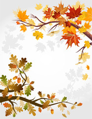 Wall Mural - autumn forest