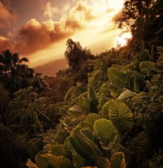 Wall Mural - Majestic landscape