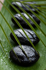 Wall Mural - black spa stones and leaves