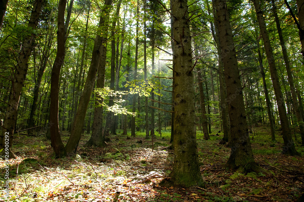 beskid-niski
