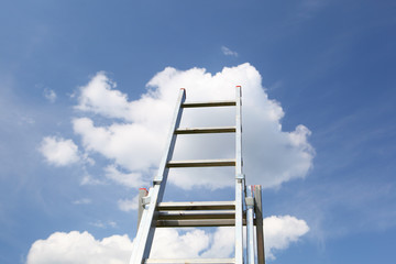 Wall Mural - ladder to the sky