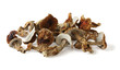 Dried boletus mushrooms on a white background