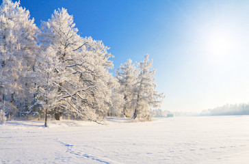Aufkleber - winter park in snow