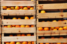 Wood Crates Full Of Oranges