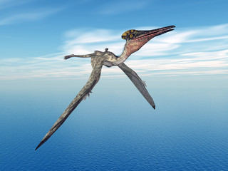 Wall Mural - Pterodactylus