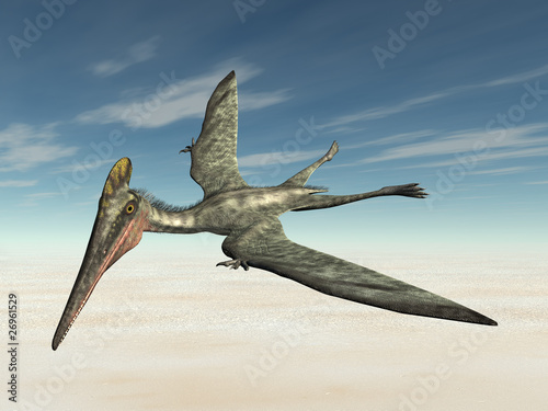 Board z aluminiowym obramowaniem Pterodactylus
