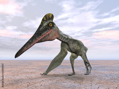 Naklejka samoprzylepna Pterodactylus