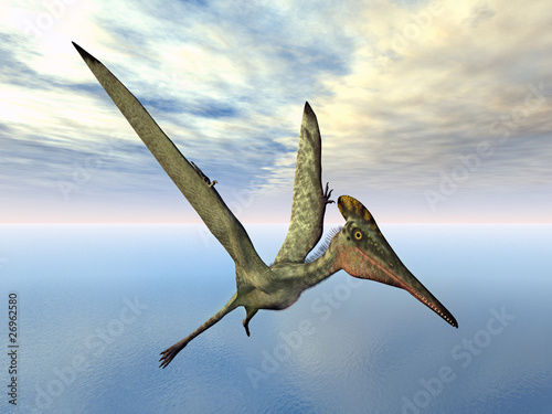 Naklejka samoprzylepna Latać żeglarz pterodactylus