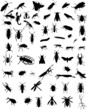 collection of 60 bugs - vector