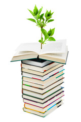 Poster - Books and plant