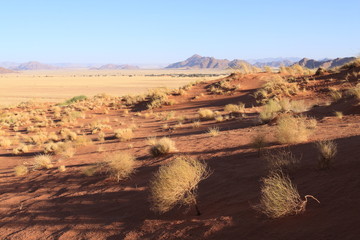 Wall Mural - Paysage du désert du Namib