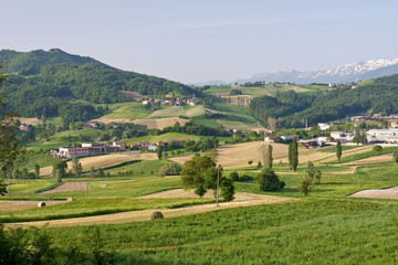 Typical Tuscan landscape