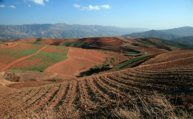 fertile field in west of china