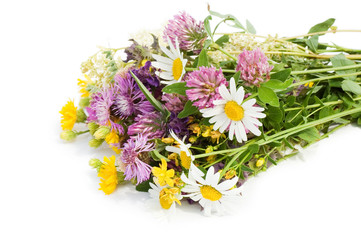 bouquet of wild flowers isolated on white background