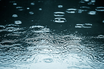 Wall Mural - rainy weather
