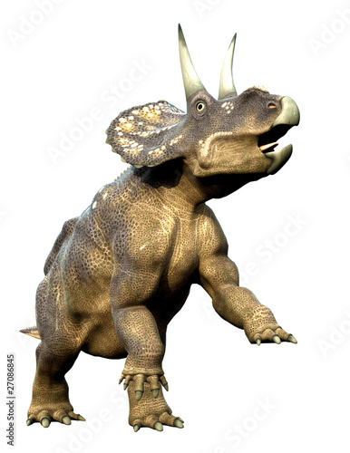 Fotografija  diceratops side defend