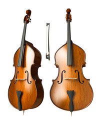 Double Bass