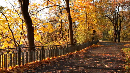 Wall Mural - Autumn park