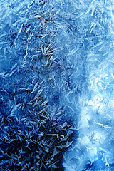 Wall Mural - Frosty natural pattern on winter window