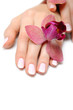 © Dmitrijs Gerciks - Beautiful hand with perfect nail pink manicure and purple orchid