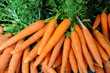 étal de carottes au marché