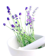 Lavender Herb Leaves In An Ceranic Mortar With Pestle Over White