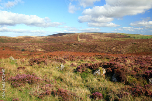 Plakat na papierze fotorealistycznym Widok na wrzosowiska na hamel tor, dartmoor