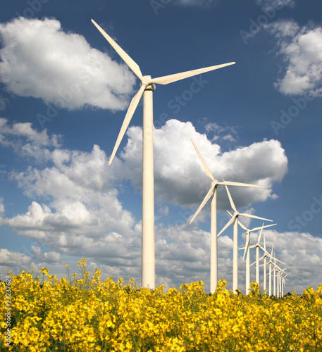 Naklejka nad blat kuchenny Windpark mit Rapsfeld