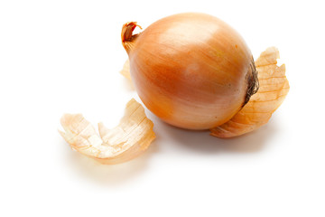 Wall Mural - Onion isolated on white