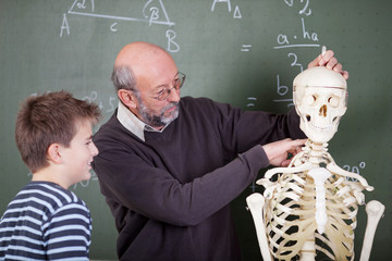 Wall Mural - schüler und lehrer mit skelett