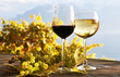 Pair of wineglasses Lavaux region, Switzerland