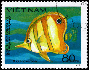 Wall Mural - VIETNAM - CIRCA 1984 Butterflyfish