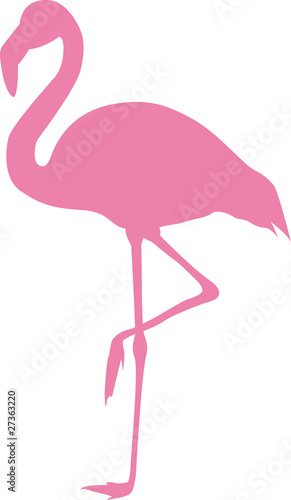 Obraz w ramie flamingo