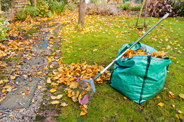 Autumn Garden Maintenance