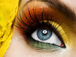 © robroy - Yellow  eye make-up with flower