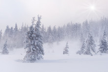 Snowstorm In The Carpathian Mountains