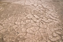 Dried Mud Near Stovepipe Wells, Death Valley National Park