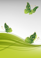 Poster - Green background with beautiful butterflies for your design
