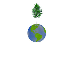 Poster - High Resolution Tree on Earth