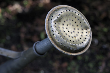 Old dented watering can