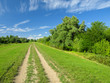 © Željko Radojko - Tree lined farm road