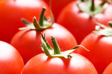 Red tomatoes arranged at the market stand