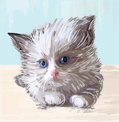 hand drawn portrait of the fluffy kitten  with blue eyes