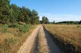 Fototapeta  - rural road