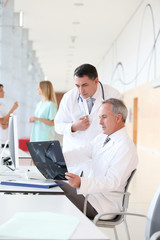 Wall Mural - Doctors looking at radiography in hospital