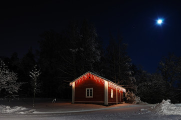 Wall Mural - Christmas house in moonlight