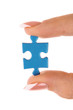 © Africa Studio - Hand with puzzle isolated on white