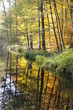© Fotolyse - Teich im Herbst