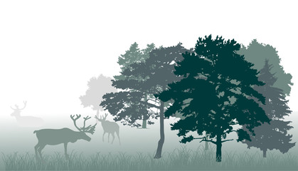 Wall Mural - deers in forest green illustration